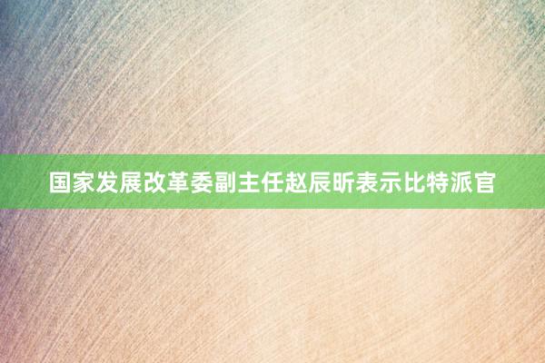 国家发展改革委副主任赵辰昕表示比特派官