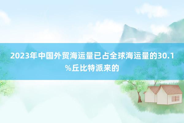 2023年中国外贸海运量已占全球海运量的30.1%丘比特派来的