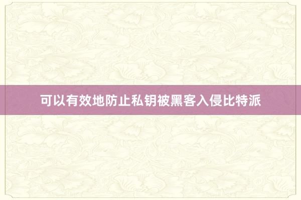 可以有效地防止私钥被黑客入侵比特派