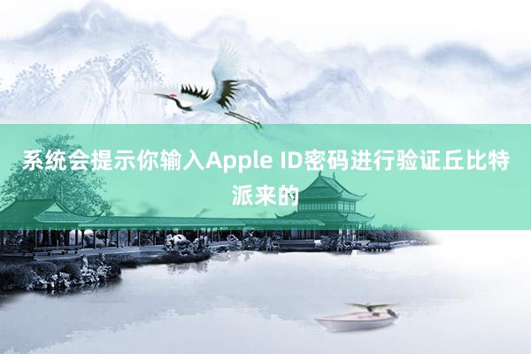 系统会提示你输入Apple ID密码进行验证丘比特派来的