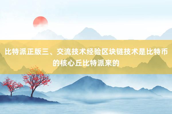 比特派正版三、交流技术经验区块链技术是比特币的核心丘比特派来的