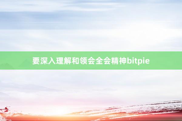 要深入理解和领会全会精神bitpie