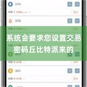 系统会要求您设置交易密码丘比特派来的