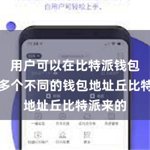 用户可以在比特派钱包中生成多个不同的钱包地址丘比特派来的