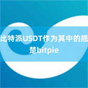 比特派USDT作为其中的翘楚bitpie