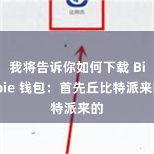 我将告诉你如何下载 Bitpie 钱包：首先丘比特派来的