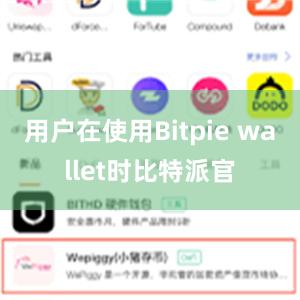 用户在使用Bitpie wallet时比特派官